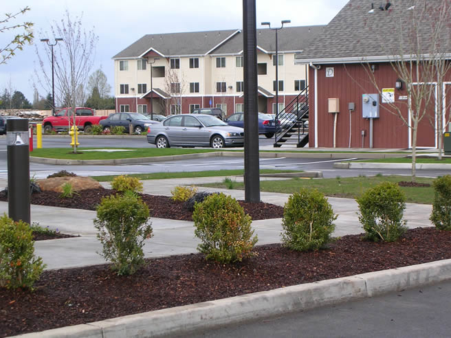Cascade Ridge: Finished Project, Site Design of Phase 1 of Cascade Ridge Apartments, Lebanon, OR.  Phase II to begin soon. (2009)